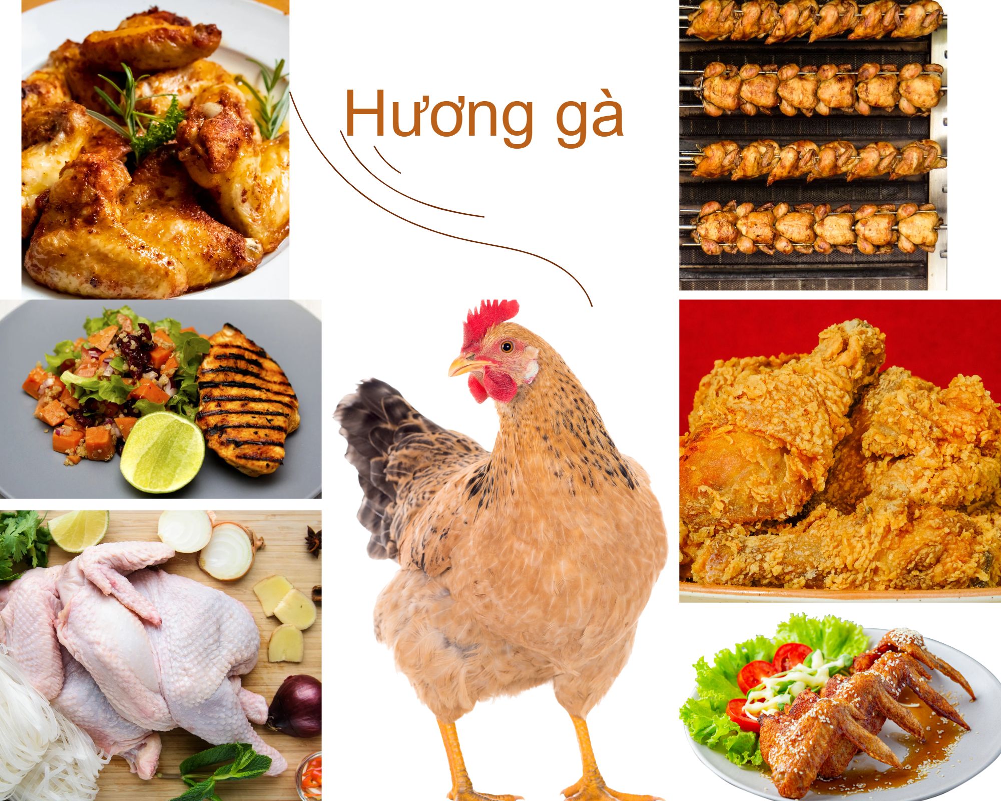 HƯƠNG GÀ- HƯƠNG MẶN SỬ DỤNG TRONG THỰC PHẨM